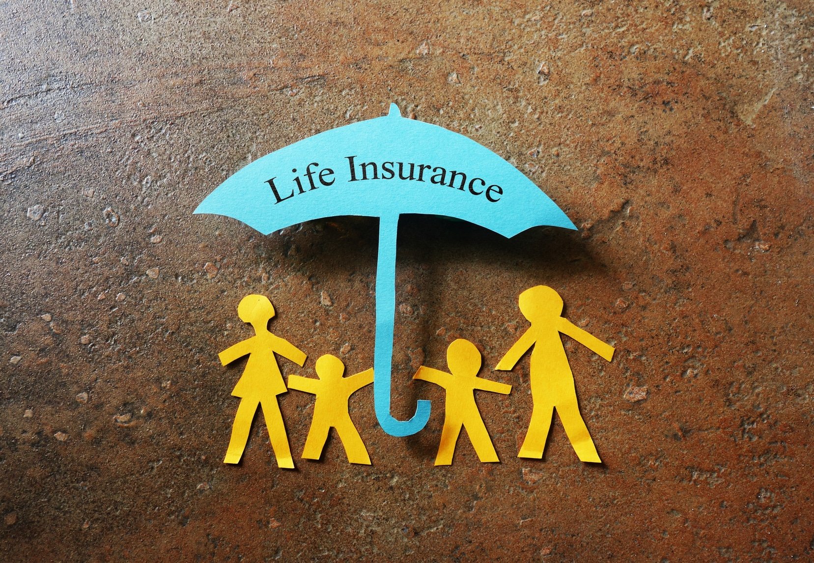 Term Life Insurance vs Whole Life Insurance The Key Differences Outlined